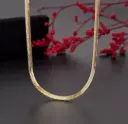 سلسله ضهر حيه 4مم